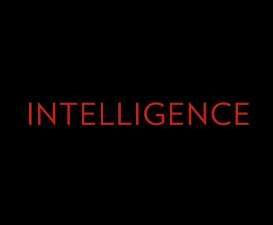 Material Intelligence logo detail