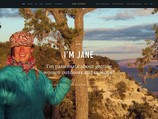 Jane Schmidt Website